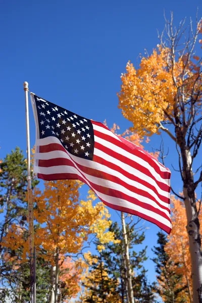 American Flag in Fall
