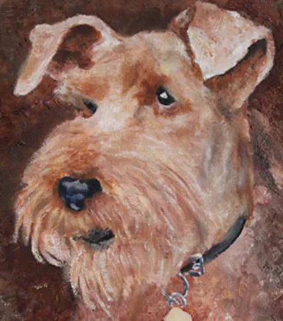 Wolfie Airdale Terrier