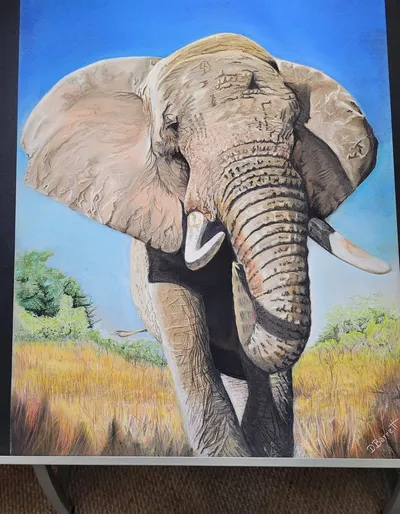 Elephant on the savanna