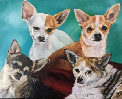 "The Furry Fabulous 4"