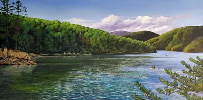 Artist Residency, Devil's Fork State Park, SC