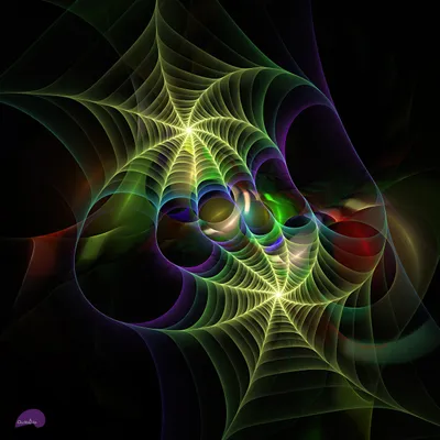 Spiderman’s Paradise