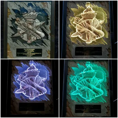 Civil Affairs PCS gift