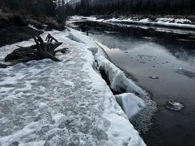 Winter in Alaska (photo)