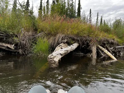 Tolsona River  (photo)