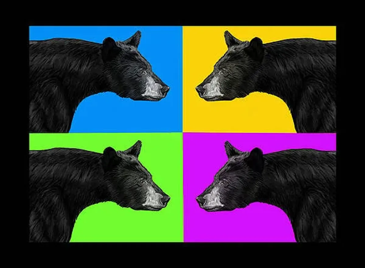 Pop Goes the Black Bear