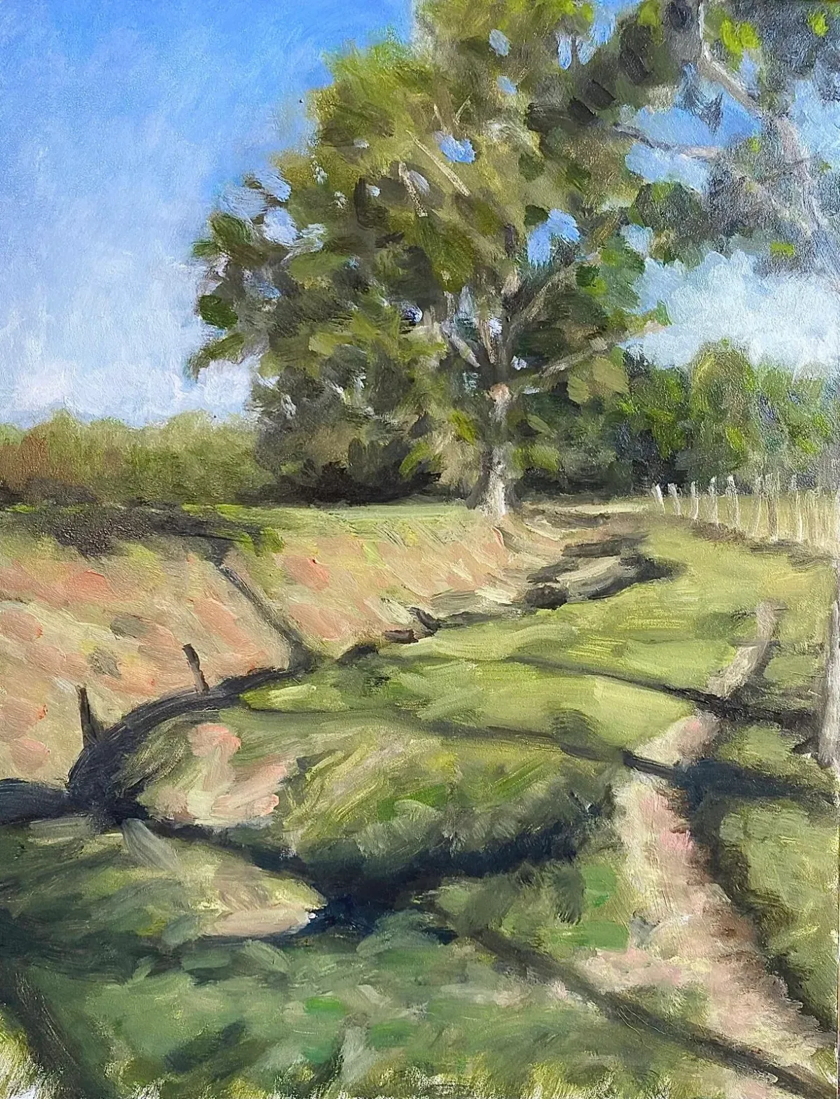 Pasture in Afternoon