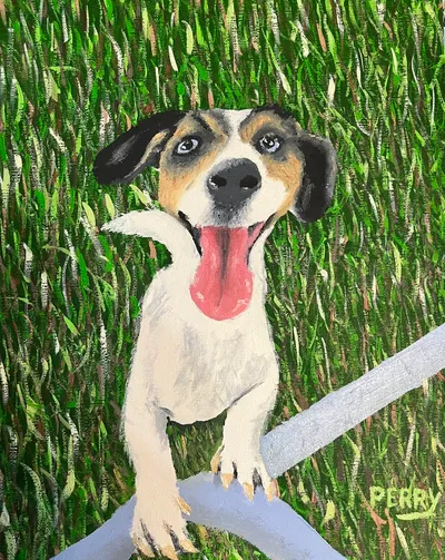 Throw the Ball, Mom!