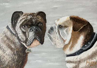 Bull Dog Pair