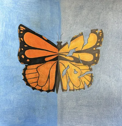 Unrealistic Expectations