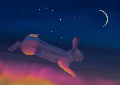 Lepus and Aurora